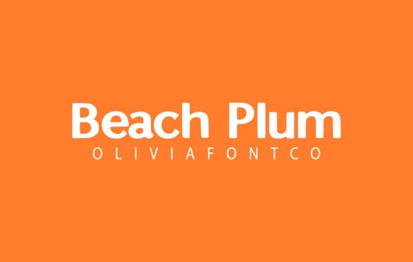 Beach Plum Typeface Review: Elevating Social Campaigns with Romantic Handwritten Style