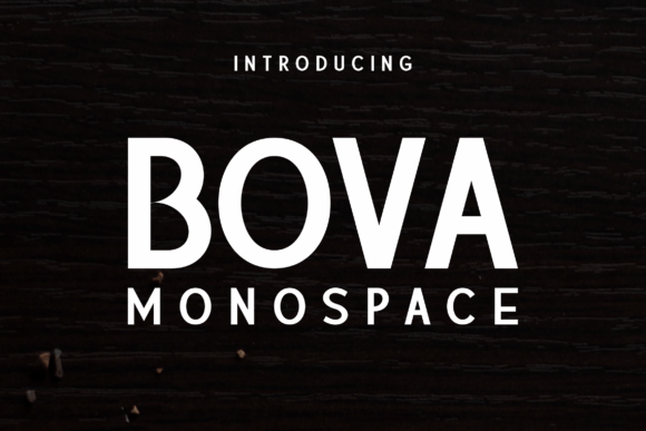 Bova Monospace: A Modern Sans Serif for Editorial Design