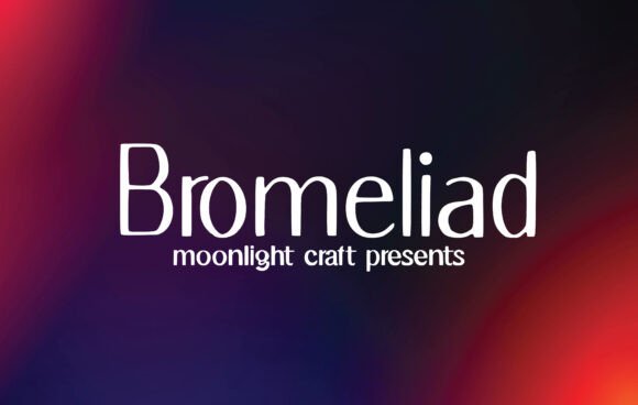 Bromeliad: A Handwritten Font for Editorial Design