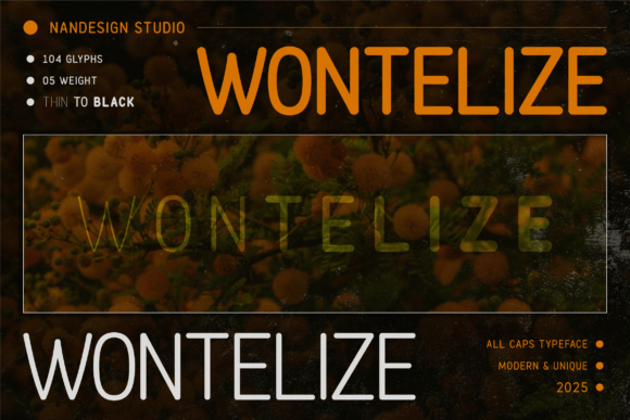 Wontelize Rounded Typeface Review: A Softer Approach to Bold Sans Serif Branding